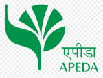 apeda-logo